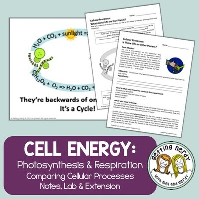 Photosynthesis and Respiration - PowerPoint, Notes, and Lab
