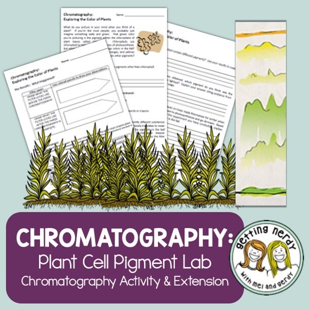 Plant Cell Pigment Chromatography Lab