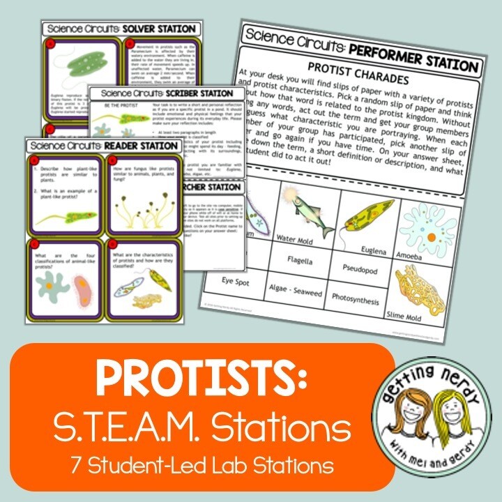 Protist Classification - Science Centers / Lab Stations