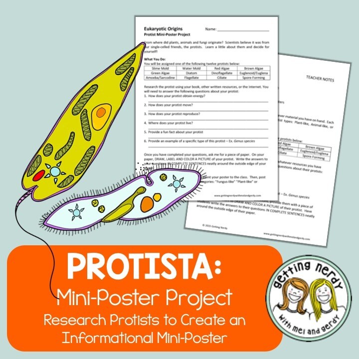Protist Poster Project