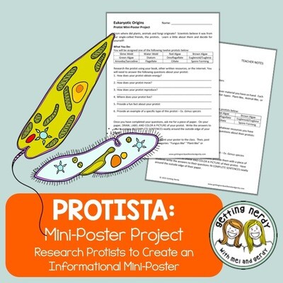 Protist Poster Project
