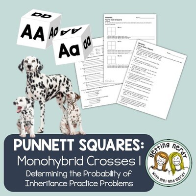 Punnett Square Practice