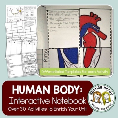 Science Interactive Notebook - Human Body Systems