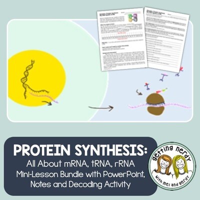 Protein Synthesis - mRNA, DNA, rRNA PowerPoint and Handouts