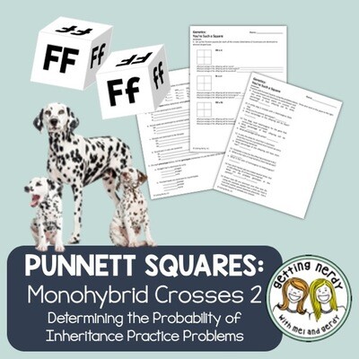 Punnett Square Practice II