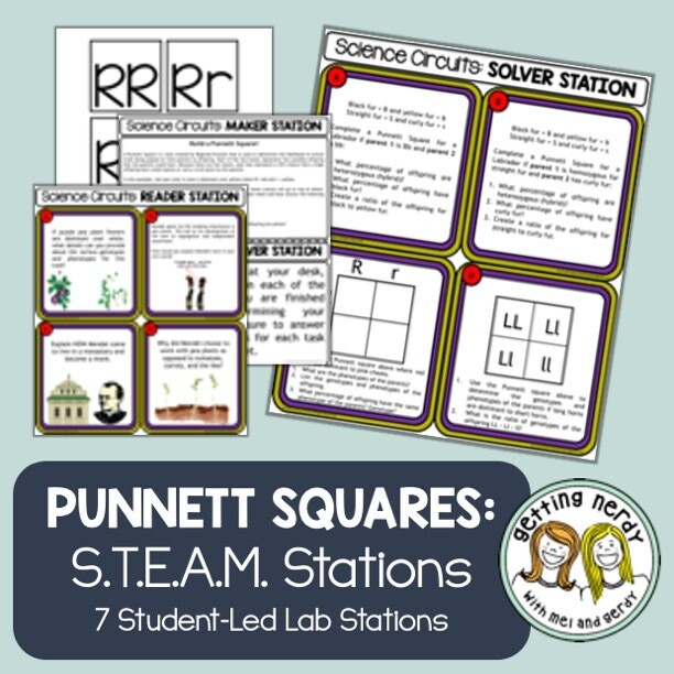 Punnett Squares - Science Centers / Lab Stations