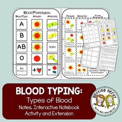 Science Interactive Notebook - Blood Typing Notes and Activity