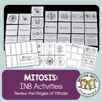 Science Interactive Notebook - Mitosis