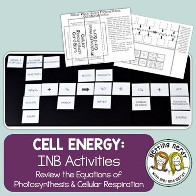 Science Interactive Notebook - Respiration and Photosynthesis