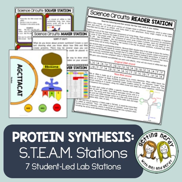 Protein Synthesis - Genetics - Science Centers / Lab Stations