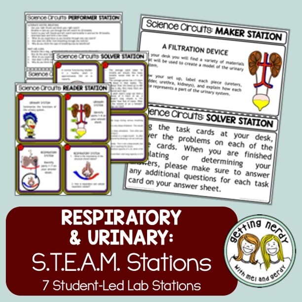 Respiratory & Urinary Systems - Science Centers / Lab Stations