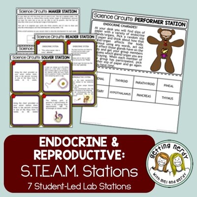 Reproductive & Endocrine Systems - Science Centers / Lab Stations