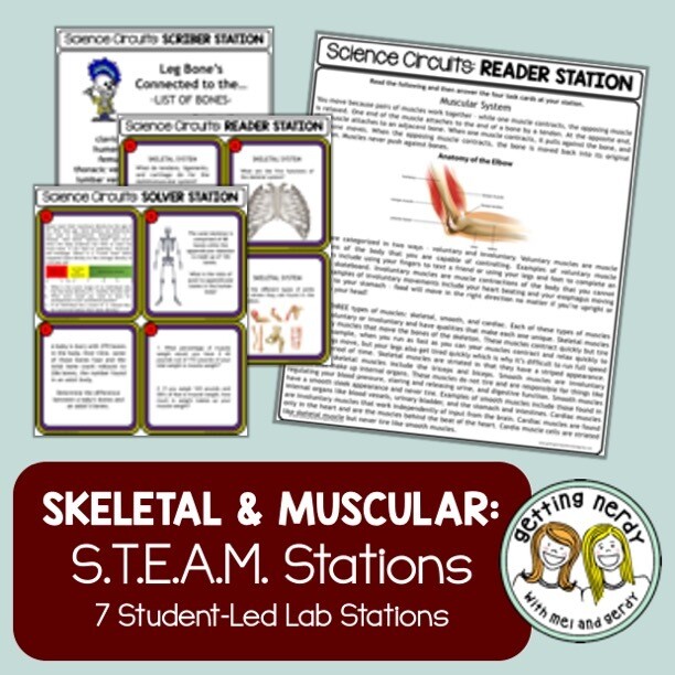 Skeletal & Muscular System - Science Centers / Lab Stations