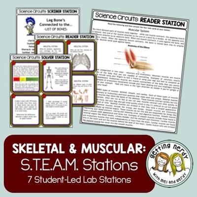 Skeletal & Muscular System - Science Centers / Lab Stations
