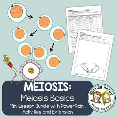 Meiosis Cell Division - PowerPoint, Notes, Class Survey and Project