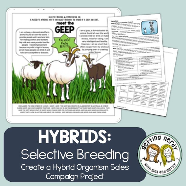 Hybrid Genetics and Selective Breeding Sales Campaign Project