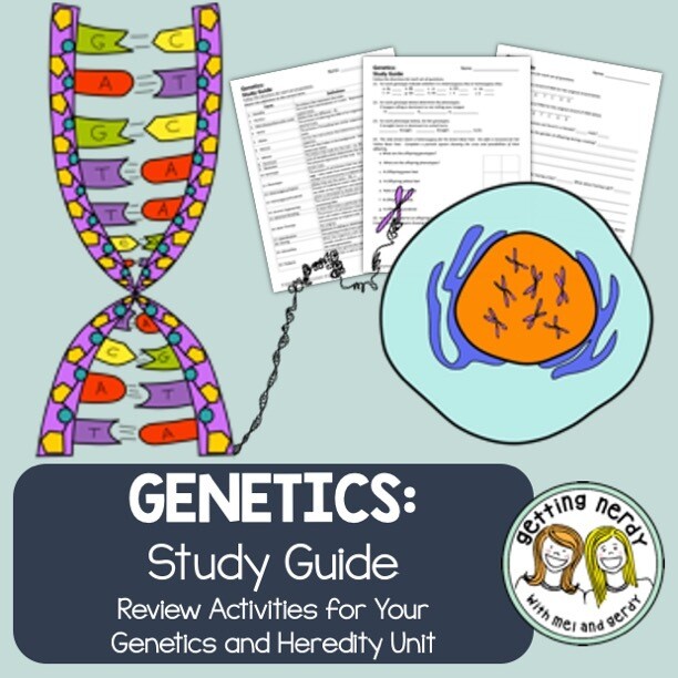Genetics Study Guide Review Packet