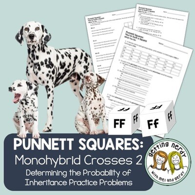 Punnett Square Practice II