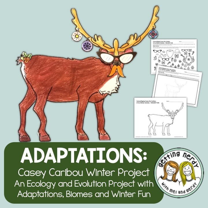 Winter Ecology / Evolution - Camouflaging Casey the Caribou