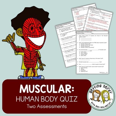 Human Body - Muscular System Quiz