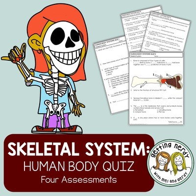 Human Body - Skeletal System Quiz