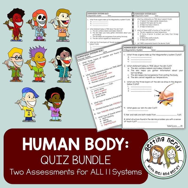 Human Body Systems Quiz Bundle