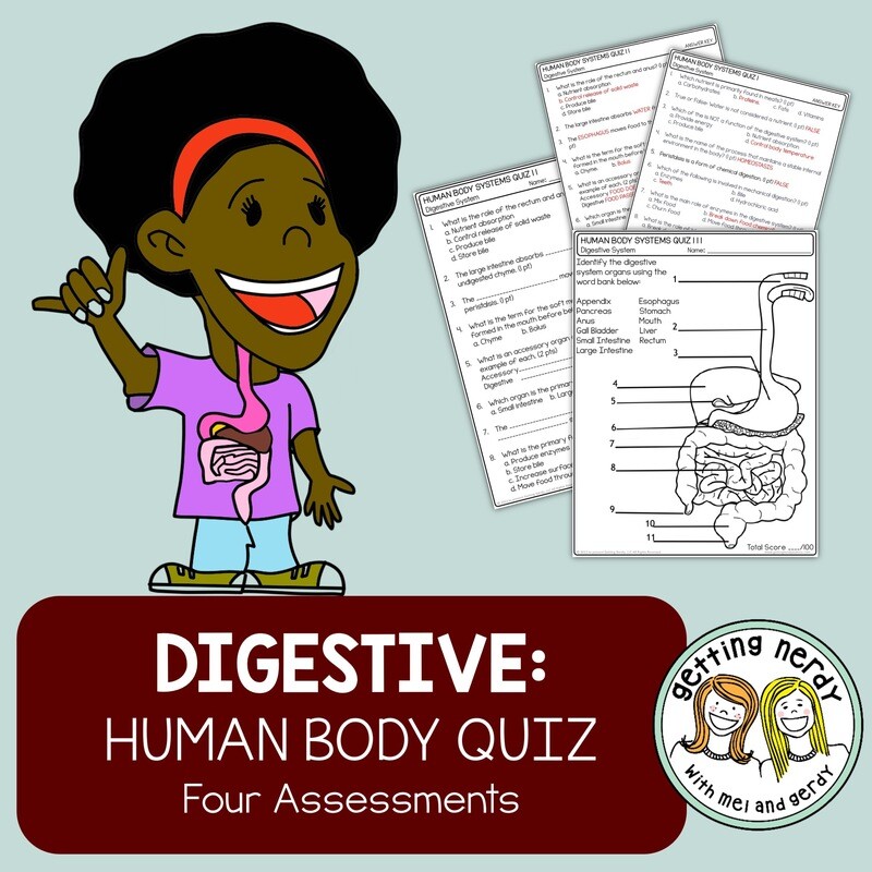 Human Body - Digestive System Quiz