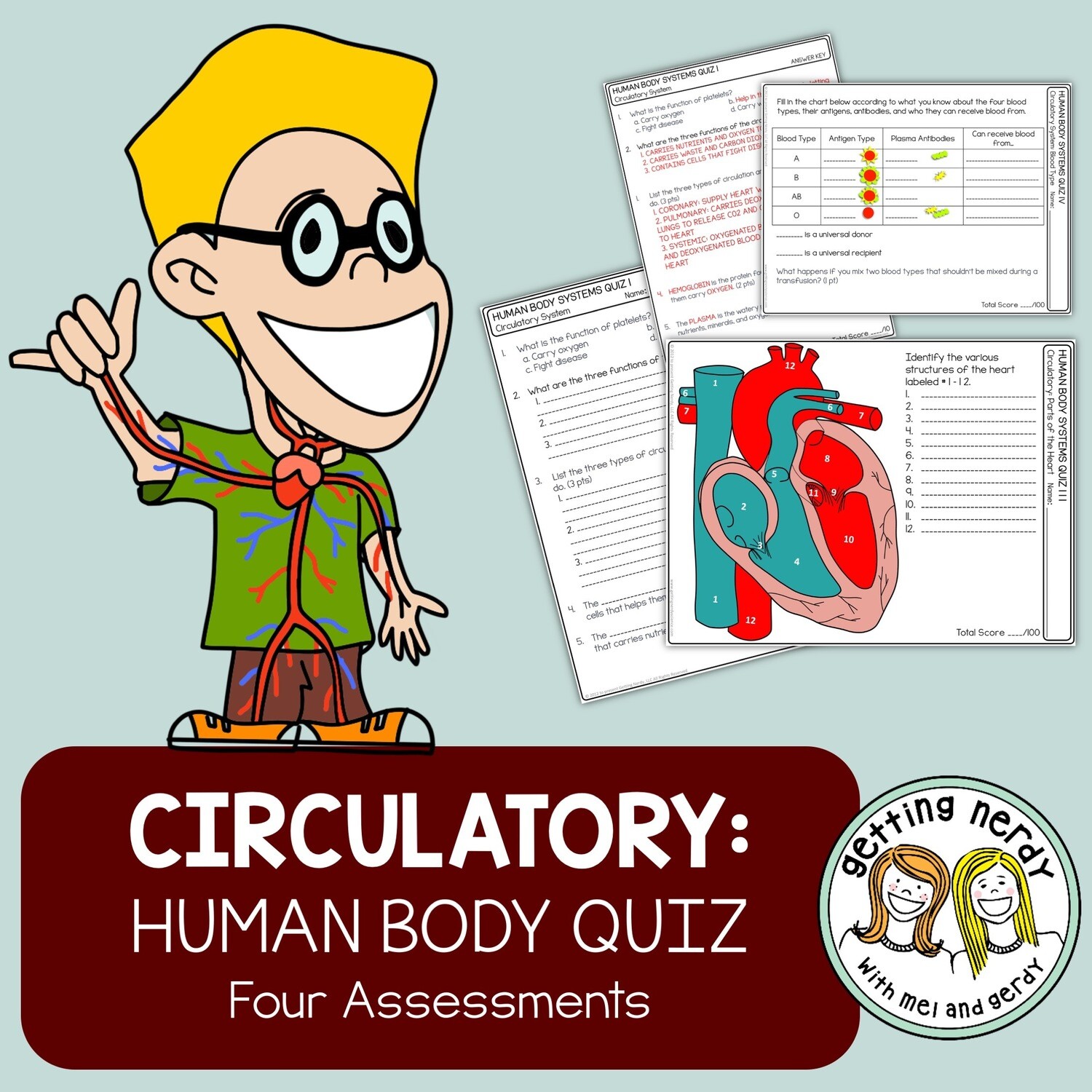 Human Body - Circulatory / Cardiovascular System Quiz