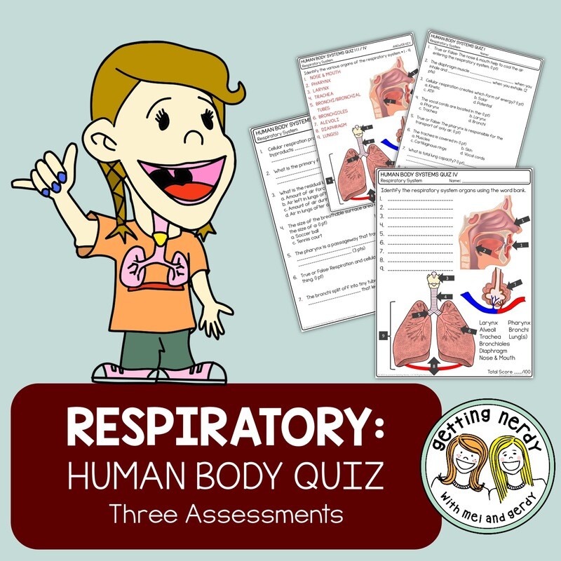 Human Body - Respiratory System Quiz