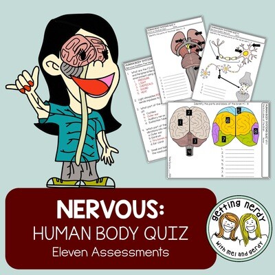 Human Body - Nervous System Quiz