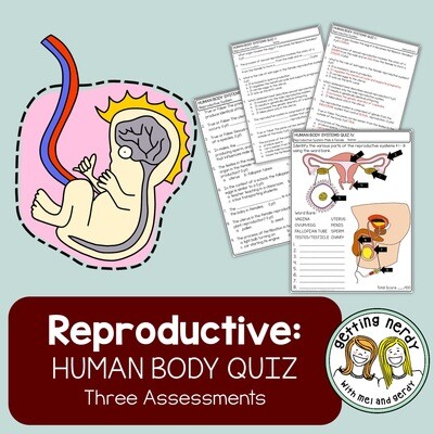Human Body - Reproductive System Quiz