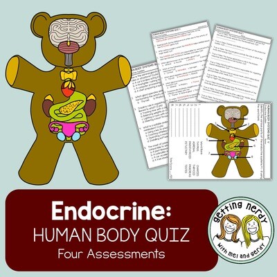 Human Body - Endocrine System Quiz