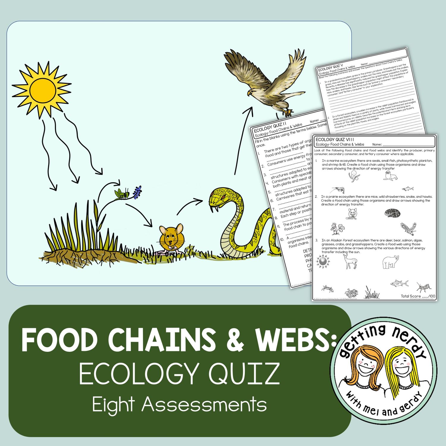 Ecology - Food Chains & Food Webs Quiz