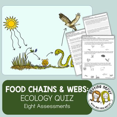 Ecology - Food Chains &amp; Food Webs Quiz