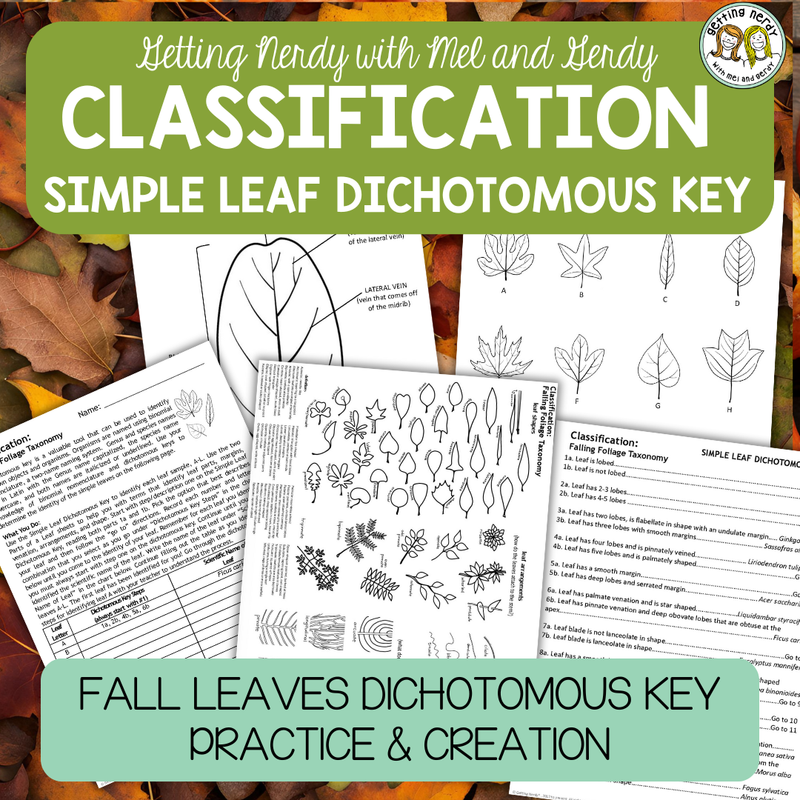 Classification & Taxonomy - Fall Halloween Simple Leaf Dichotomous Key Practice