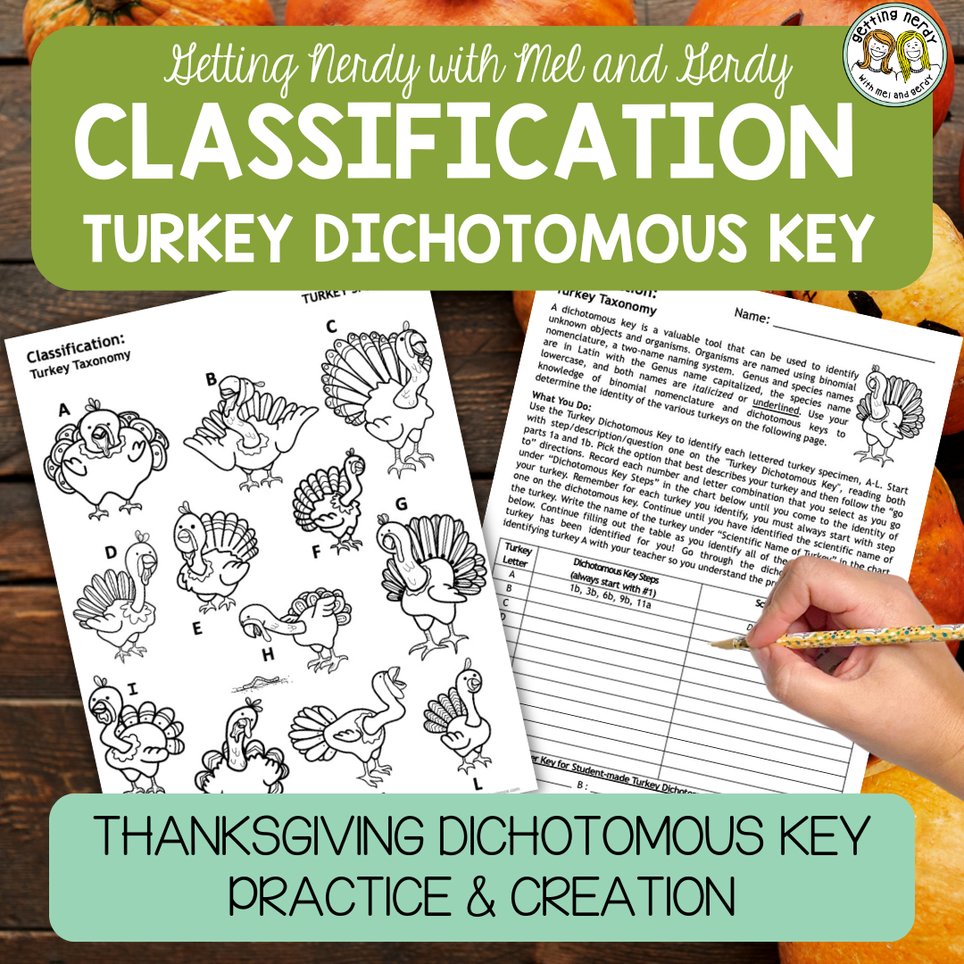 Classification & Taxonomy - Fall Thanksgiving Turkey Dichotomous Key Practice