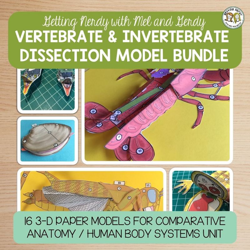 Vertebrate &amp; Invertebrate Zoology | Biology Dissection 3-D Paper Model Bundle