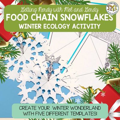Ecology Food Chain &amp; Food Webs Snowflake Winter Holiday Craft Activity