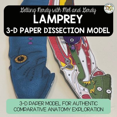Lamprey Dissection Zoology | Biology 3-D Anatomy Paper Dissection Model &amp; Lesson