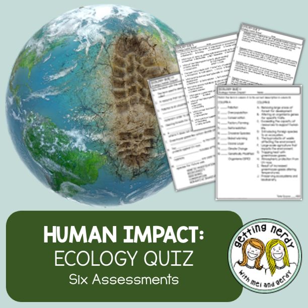 Ecology | Ecosystems | Human Impact on the Environment Quiz/Assessments