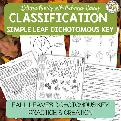 Classification &amp; Taxonomy - Fall Halloween Simple Leaf Dichotomous Key Practice