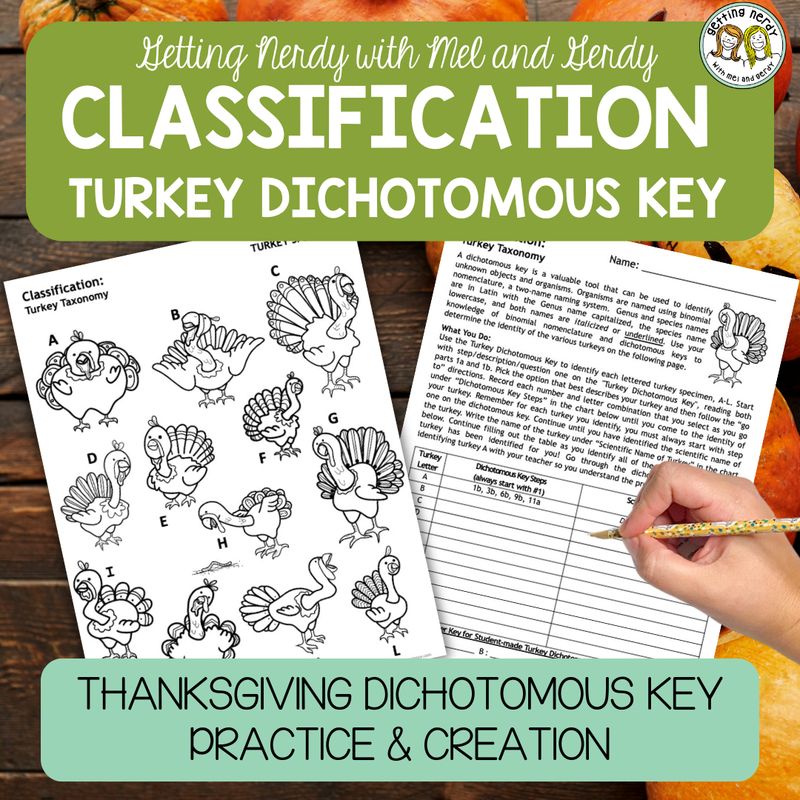 Classification &amp; Taxonomy - Fall Thanksgiving Turkey Dichotomous Key Practice