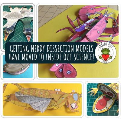 Inside Out Science: Dissection Models