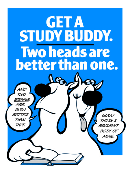 Get A Study Buddy