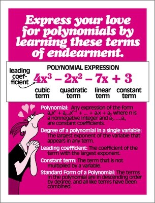 Polynomial Expressions.