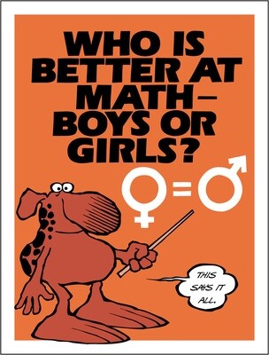 Boys & Girls Are Equally Good At Math