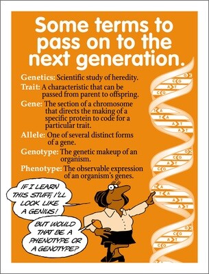 Genetics Terminology