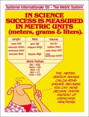 The Metric System