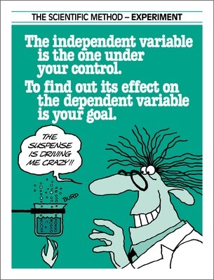 Scientific Method - Experiment