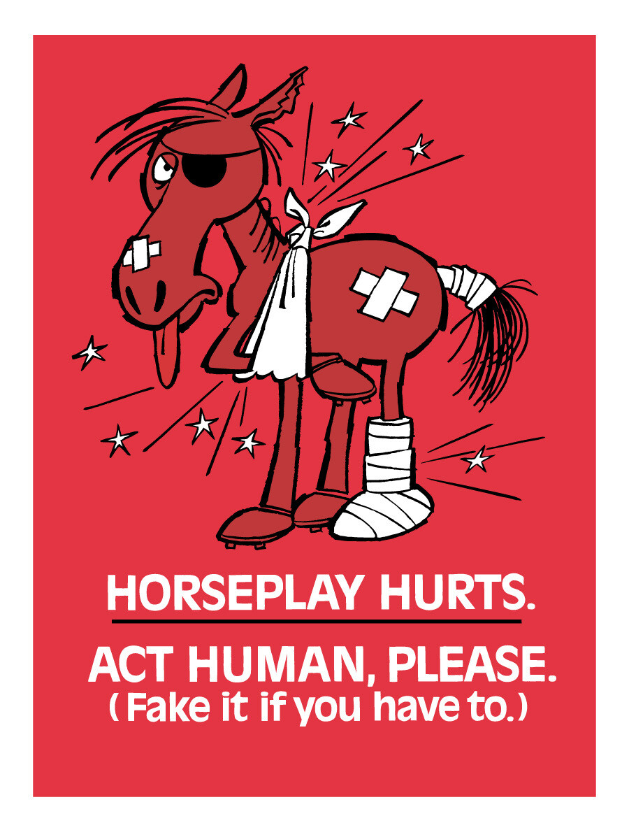 Horseplay hurts
